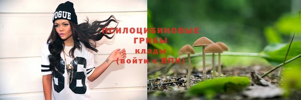 метамфетамин Каменка