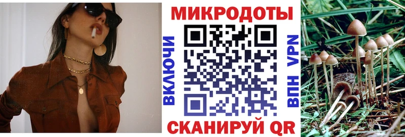 Псилоцибиновые грибы мицелий  Купить  Володарск 