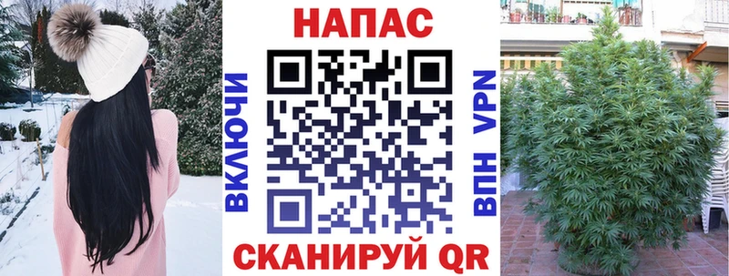 Купить  Володарск  МАРИХУАНА план 